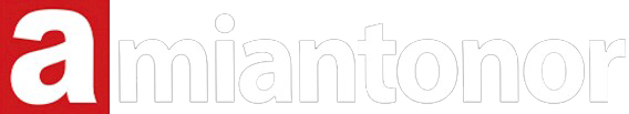 https://amiantonor.com/wp-content/uploads/2021/11/Logo-transparente.png